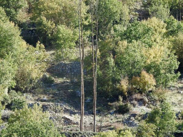 APPUNTAMENTO  A SCANNO PER IL GIORNO DELLE “GLORIE”