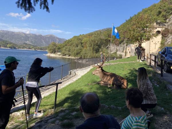 La star del Lago di Scanno