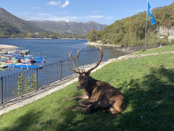 La star del Lago di Scanno