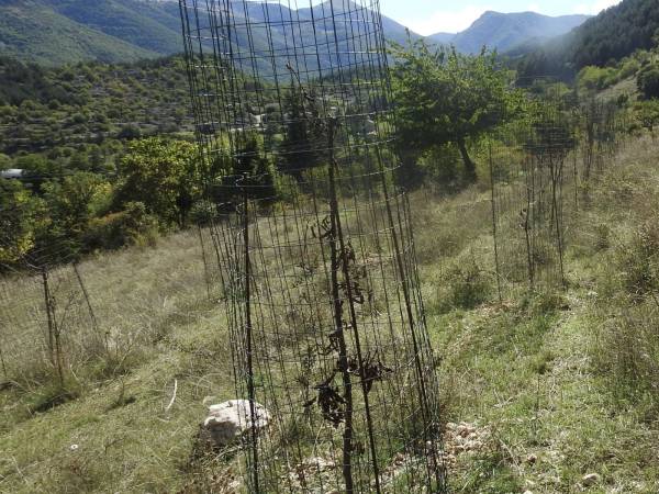 Morti di sete a Villalago