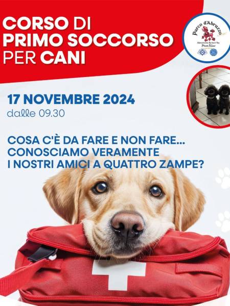 l'Enbital organizza il corso di primo soccorso per cani