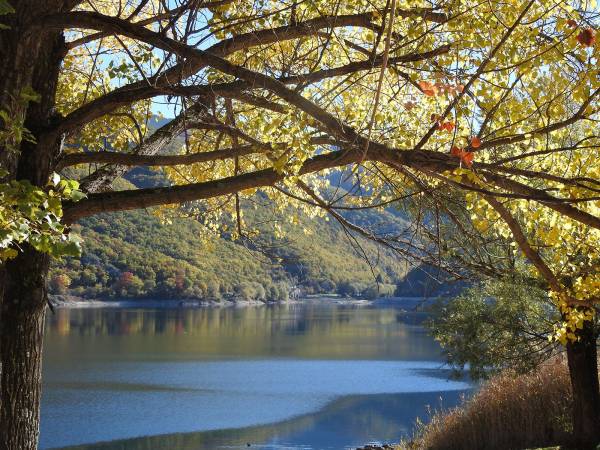 Ad Amarena, mia concittadina e confidente IL FOLIAGE AL LAGO DI SCANNO