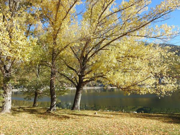 Ad Amarena, mia concittadina e confidente IL FOLIAGE AL LAGO DI SCANNO