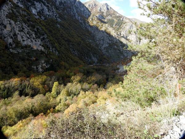 Foliage lungo le Gole del Sagittario