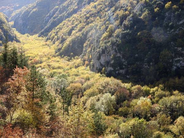 Foliage lungo le Gole del Sagittario