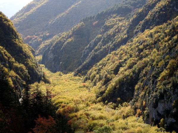 Foliage lungo le Gole del Sagittario