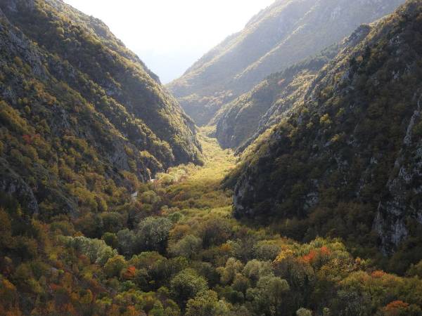 Foliage lungo le Gole del Sagittario