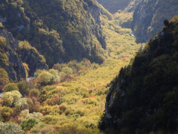 Foliage lungo le Gole del Sagittario