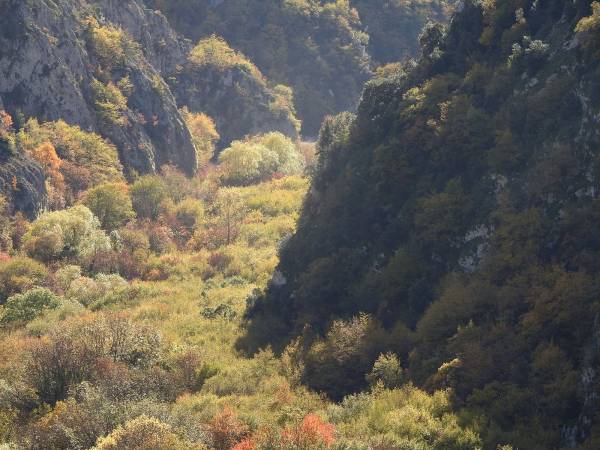 Foliage lungo le Gole del Sagittario