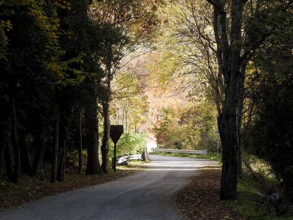 Foliage lungo le Gole del Sagittario