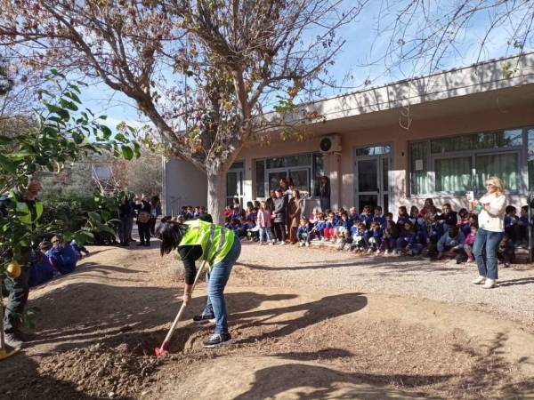 “Dalla Giornata dell'Albero alla Città dell'Albero"