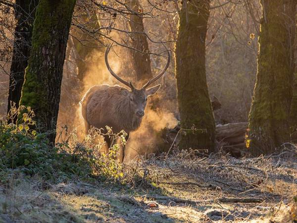 FOTOGRAFO TOSCANO VINCE IL CONCORSO FOTOGRAFICO "CIVITELLA" 2024