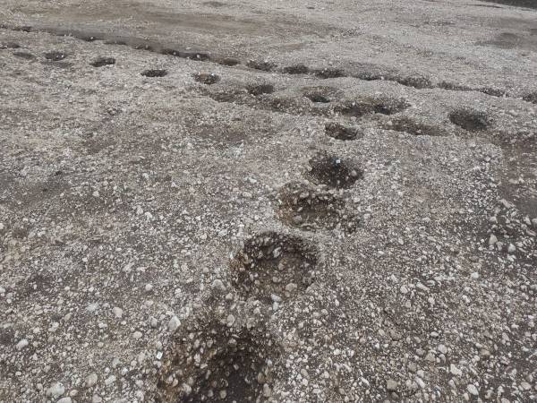 TIRABASSI PENSA A SULMONALAND MENTRE LA STORIA E LA CULTURA DELLA CITTÀ VANNO IN FRANTUMI SOTTO LE RUSPE