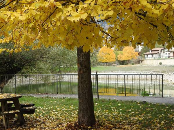 FOLIAGE NELL’ALTA VALLE DEL SAGITTARIO