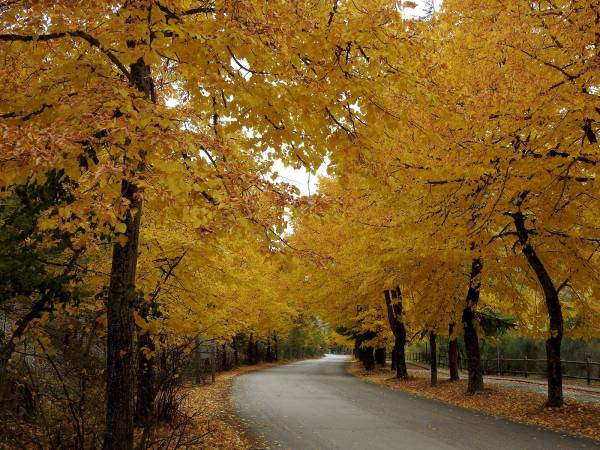 FOLIAGE NELL’ALTA VALLE DEL SAGITTARIO