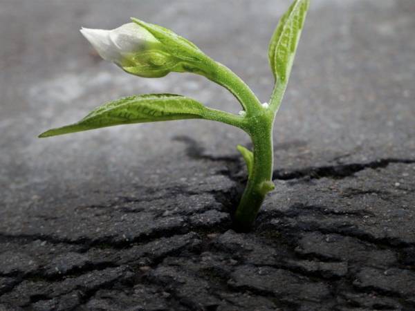 CONSUMO DEL SUOLO L’ABRUZZO SOTTO LA MEDIA NAZIONALE