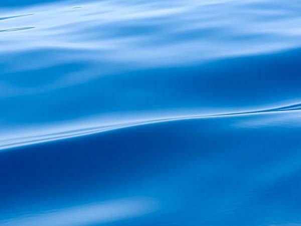 I VINCITORI DELLA XIV° EDIZIONE DEL CONTEST FOTOGRAFICO CIVITELLA