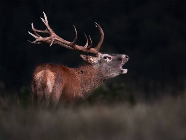 I VINCITORI DELLA XIV° EDIZIONE DEL CONTEST FOTOGRAFICO CIVITELLA