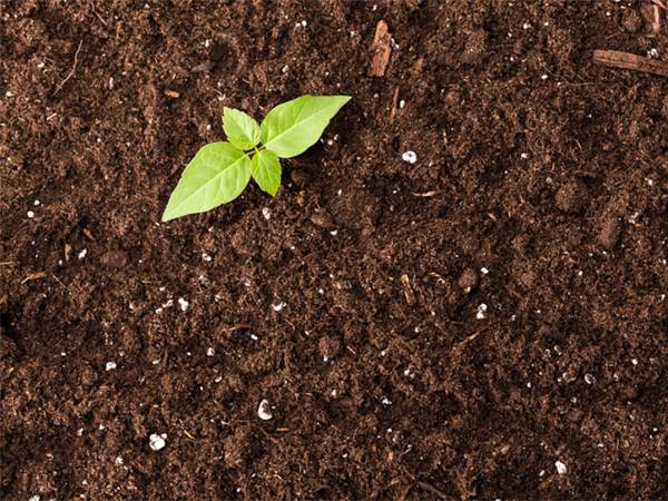 Consumo di suolo in Abruzzo: allarme dei giovani agricoltori CIA