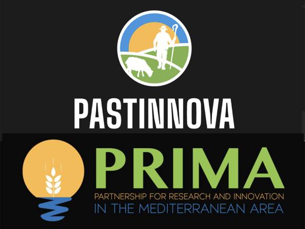 Workshop internazionale "Pastinnova - Modelli innovativi per un futuro sostenibile dei sistemi pastorali mediterranei”