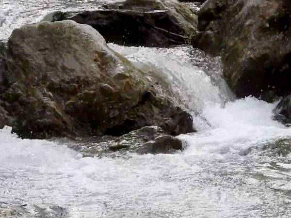 Giornata Mondiale dell’Acqua