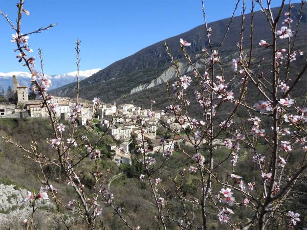 Dalla minoranza consiliare di Anversa degli Abruzzi