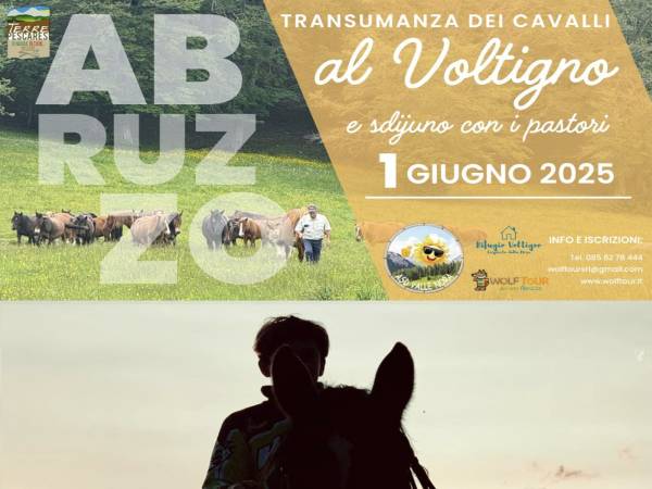 Transumanza dei Cavalli al Voltigno e sdijuno con i pastori