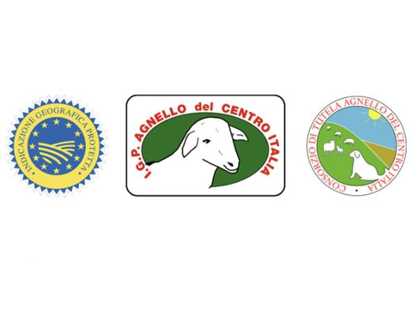 Colle Rotondo di Scanno: due cuccioli di orso morti in una vasca abbandonata, a rischio anche gli animali al pascolo