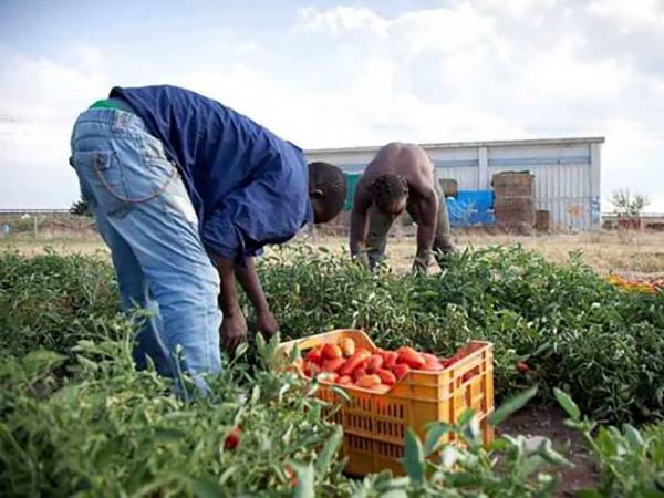 RIUNIONE IN PREFETTURA SUL TEMA DEL CAPORALATO IN AGRICOLTURA