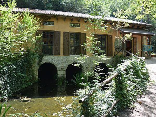 Oggi “Giornata Nazionale delle Oasi Wwf”: tra gli appuntamenti in Abruzzo "Il bagno di bosco NaturalMENTE Immersi” nell’Oasi delle Gole del Sagittario