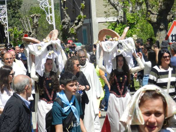 In quindicimila a Cocullo per la festa di San Domenico