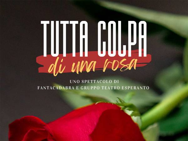"TUTTA COLPA DI UNA ROSA"