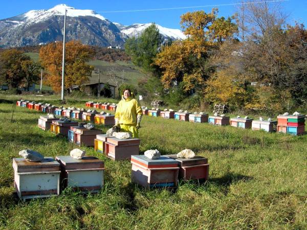 APInRosa, dedicato al racconto dell'apicoltura femminile in Italia