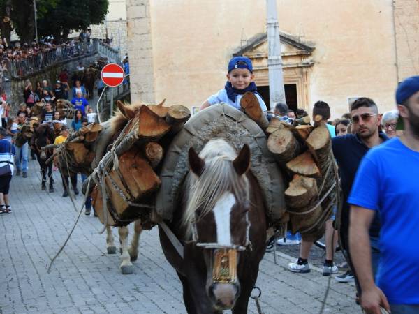SONO STATI IERI I CAVALLI E I MULI I PROTAGONISTI DELLA FESTA DI SANT’ANTONIO A SCANNO