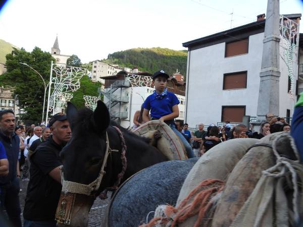 SONO STATI IERI I CAVALLI E I MULI I PROTAGONISTI DELLA FESTA DI SANT’ANTONIO A SCANNO