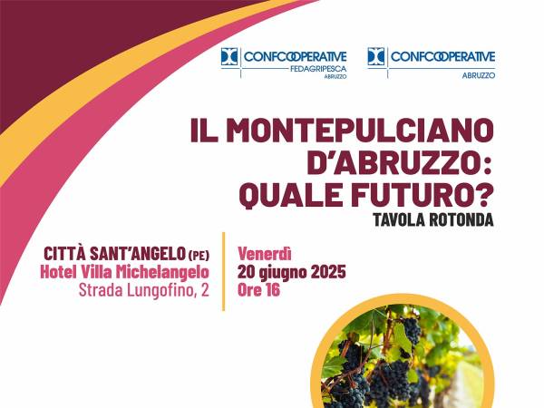 Tavola rotonda per parlare del futuro del vino abruzzese