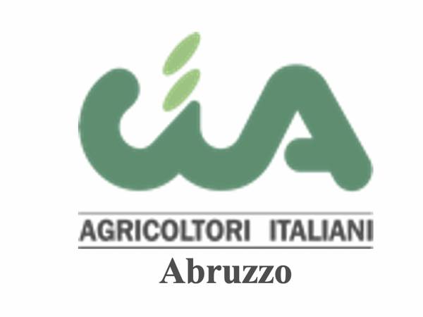 Dazi USA minacciano vino, olio e pasta abruzzese: +36% di export in pericolo