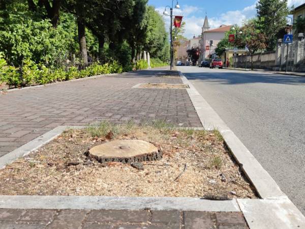 A SULMONA LA CURA DEL VERDE PUBBLICO SI FA SOLO CON LE MOTOSEGHE