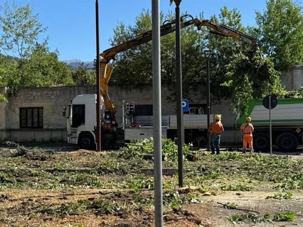 "WWF Abruzzo Montano" denuncia il recente taglio di alberi al Parco Polsinelli di L'Aquila