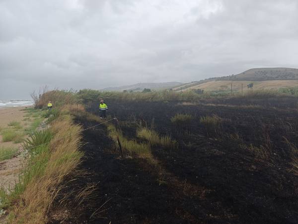 Incendio nella Riserva del Borsacchio: distrutti due ettari di vegetazione retrodunale