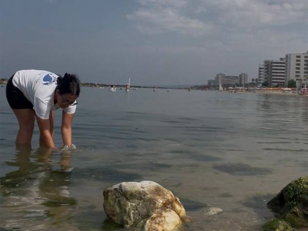 I dati del monitoraggio di Goletta Verde lungo la costa abruzzese