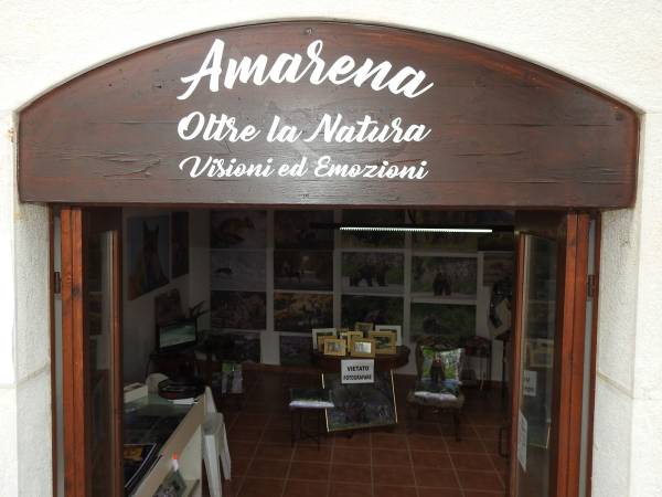 “OLTRE LA NATURA VISIONI ED EMOZIONI”