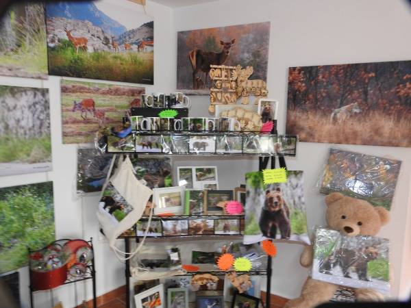 “OLTRE LA NATURA VISIONI ED EMOZIONI”
