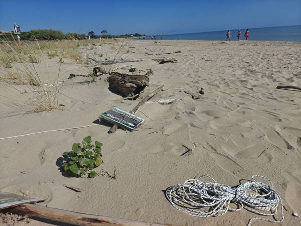 Riserva del Borsacchio: distrutto il progetto per il Fratino e le dune