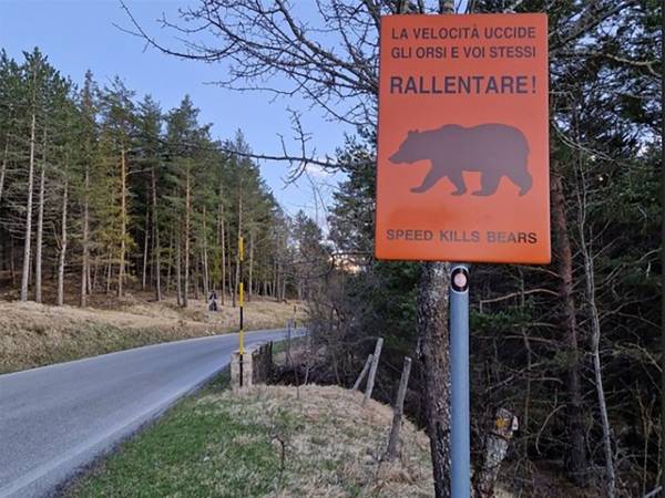 Numero chiuso per la SP 83 del PNALM