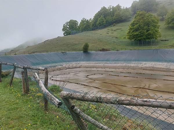 A CINQUE MESI DALL’ANNEGAMENTO DEI DUE ORSETTI NESSUNA RISPOSTA DALLE ISTITUZIONI