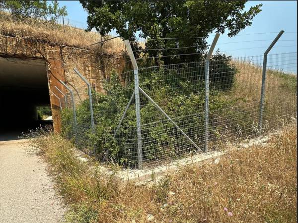 A CINQUE MESI DALL’ANNEGAMENTO DEI DUE ORSETTI NESSUNA RISPOSTA DALLE ISTITUZIONI