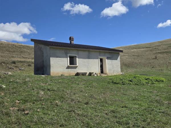 IL POETA DELLA TRANSUMANZA