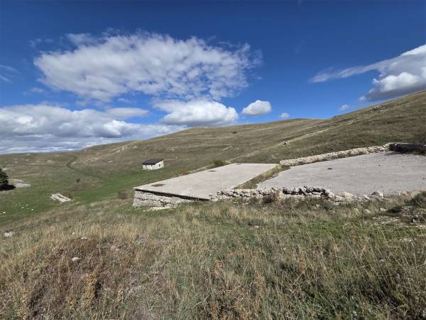 IL POETA DELLA TRANSUMANZA