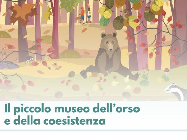 Nasce a Pettorano sul Gizio il “Piccolo Museo dell’Orso e della Coesistenza”